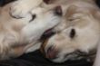 20110221_1831.JPG